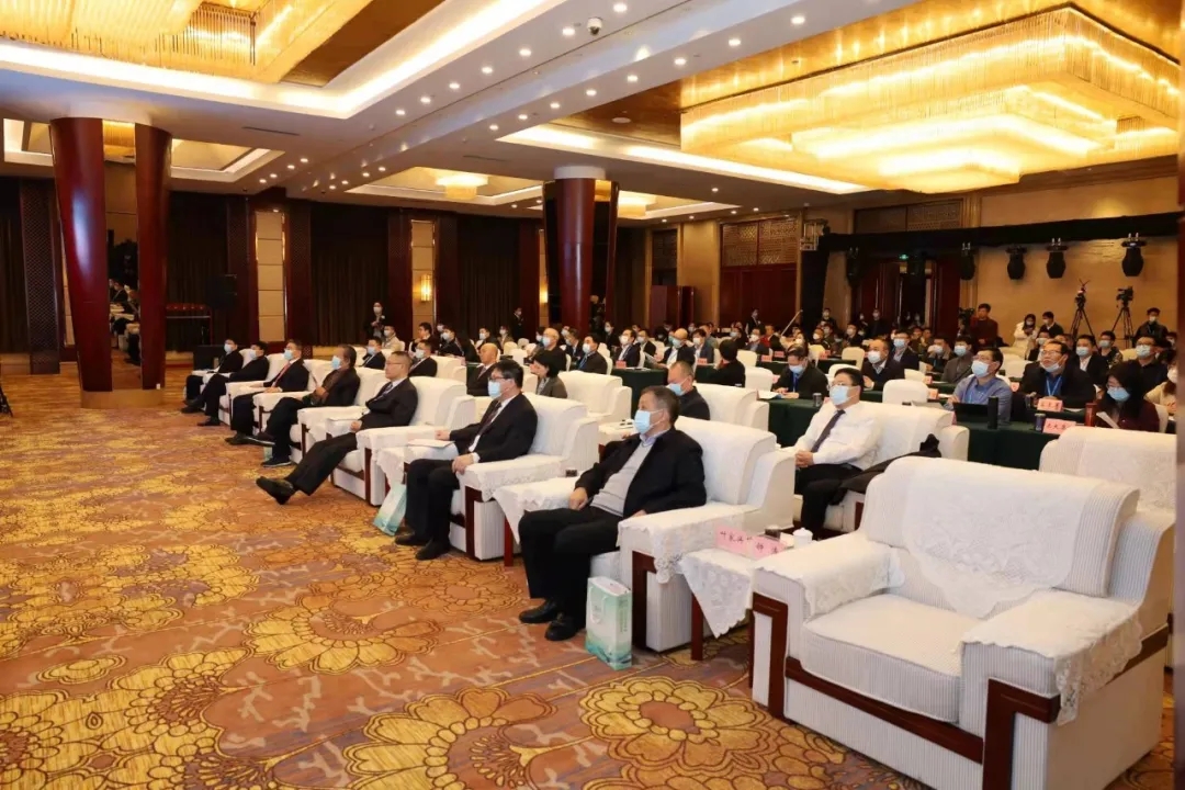 1640574358441942.jpg 4.webp.jpg